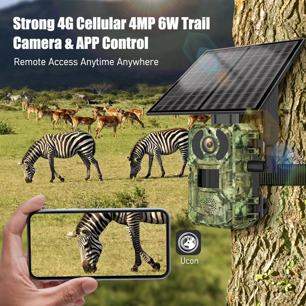 howeyi-hy-rv300-camera-forest-wildlife-monitoring-scene